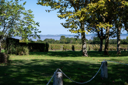 Views of typical wine domain or chateau in Haut-Medoc red wine making region, Pauillac village, Bordeaux, left bank of Gironde Estuary, Franceの写真素材