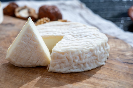 Cheese collection, French Perail les Buissieres white soft cheese made from sheep milk from Aveyron, France close upの写真素材