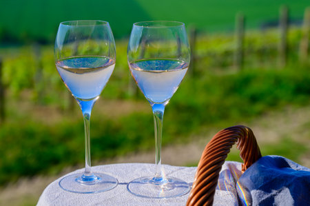Tasting of premier cru sparkling rose wine champagne with view on green pinot noir, meunier vineyards of Hautvillers, Champagne, Franceの写真素材