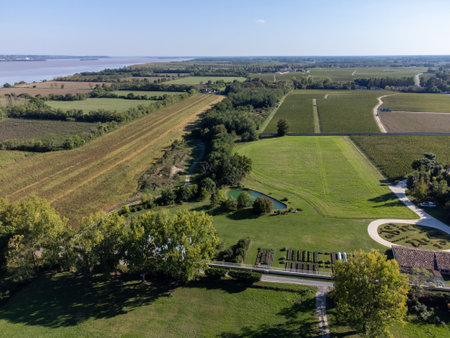 Aerial view on green vineyards, Gironde river, wine domain or chateau in Haut-Medoc red wine making...