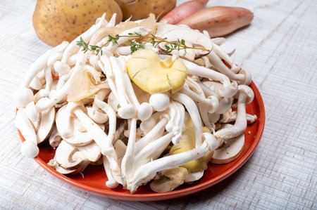 White shimeji edible mushrooms native to East Asia, buna-shimeji is widely cultivated and rich in umami tasting compounds. Mushrooms mix.の写真素材