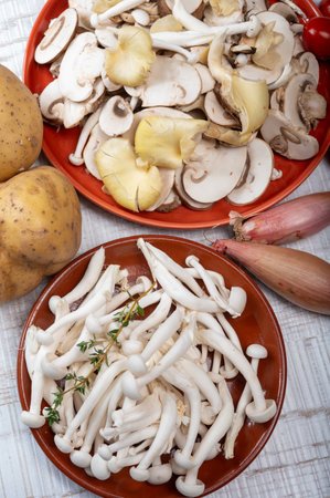 White shimeji edible mushrooms native to East Asia, buna-shimeji is widely cultivated and rich in umami tasting compounds. Mushrooms mix.の写真素材
