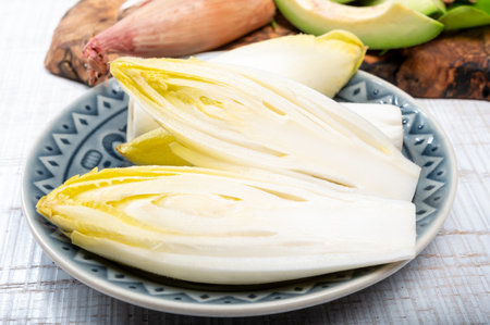 Fresh organic chicory endive salad ready to eat, traditional winter food in Belgium and the Netherlandsの写真素材