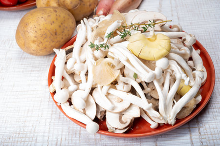 White shimeji edible mushrooms native to East Asia, buna-shimeji is widely cultivated and rich in umami tasting compounds. Mushrooms mix.の写真素材