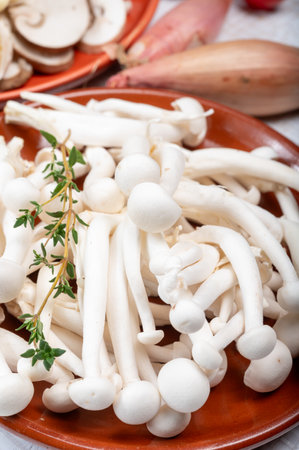White shimeji edible mushrooms native to East Asia, buna-shimeji is widely cultivated and rich in umami tasting compounds. Mushrooms mix.の写真素材