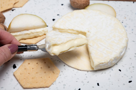French soft Cremeux de Normandie cheese, soft creamy cheese with white mold close upの写真素材