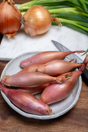 French long pink shallots grappe onion from Brittany, France close upの写真素材