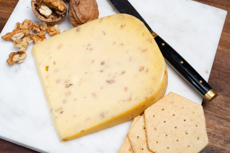 Piece of Dutch Gouda cheese made from cow milk with added walnuts close up, cheese tasting on farmの写真素材