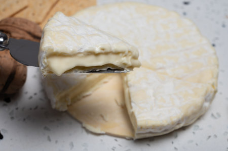 French soft Cremeux de Normandie cheese, soft creamy cheese with white mold close upの写真素材