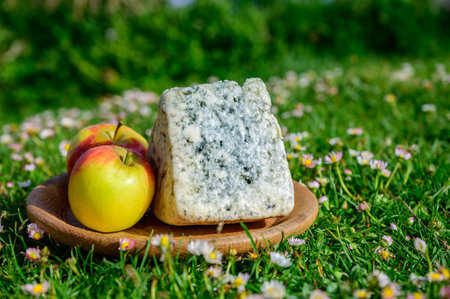 Cabrales, artisan blue cheese made by rural dairy farmers in Asturias, Spain from unpasteurized cow's milk or blended with goat or sheep milk with pastures of Picos de Europa on background.の写真素材