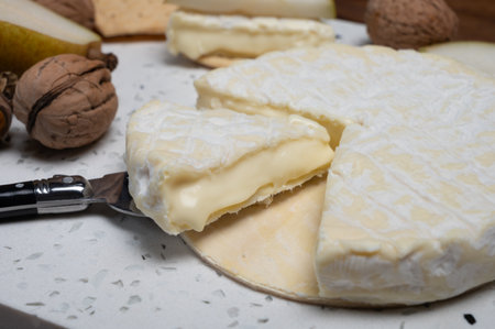 French soft Cremeux de Normandie cheese, soft creamy cheese with white mold close upの写真素材