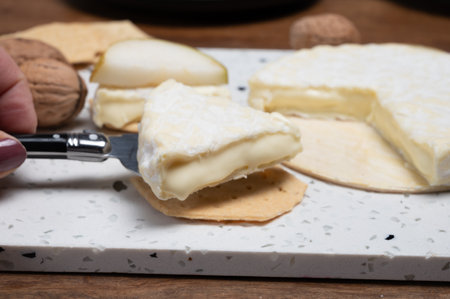 French soft Cremeux de Normandie cheese, soft creamy cheese with white mold close upの写真素材