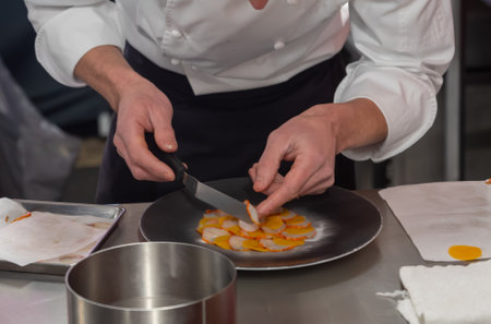 Cooking master class for visitors, great chefs high cuisine French restaurants, fine dining, winter festival, Avenue de Champagne, Epernay, Franceの写真素材