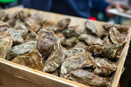 Catch of the day for sale on daily fish market, fresh oysters, Cancale, Brittany, Atlantic ocean, Franceの写真素材