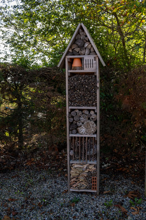 Handmade wooden insect hotel in garden in summer, english translation is office of insectsの写真素材
