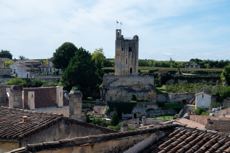Views of old houses and narrow hilly streets of medieval town St. Emilion, production of red Bordeaux wine on cru class vineyards in Saint-Emilion wine making region, France, Bordeauxの写真素材