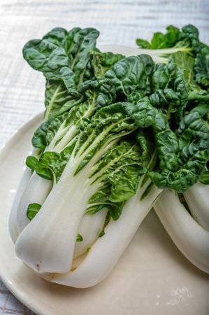Young organic white bok choy or bak choi Chinese cabbage ready to cook, healing foodの写真素材