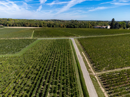 Aerial view on Pomerol village, production of red Bordeaux wine, Merlot or Cabernet Sauvignon red wine grapes on cru class vineyards in Pomerol, Saint-Emilion wine making region, France, Bordeauxの写真素材
