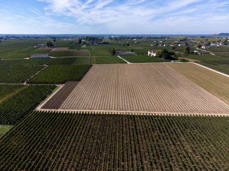 Aerial view on Pomerol village, production of red Bordeaux wine, Merlot or Cabernet Sauvignon red wine grapes on cru class vineyards in Pomerol, Saint-Emilion wine making region, France, Bordeauxの写真素材