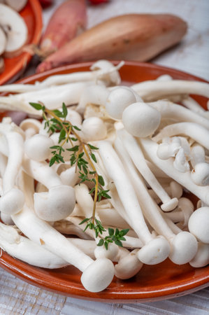 White shimeji edible mushrooms native to East Asia, buna-shimeji is widely cultivated and rich in umami tasting compounds. Mushrooms mix.の写真素材