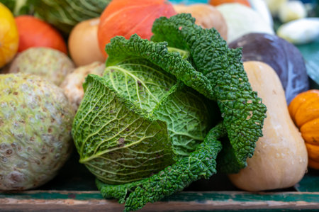 Farmers outdoor market with seasonal winter organic root vegetables, pumpkins, cool, carrotsの写真素材