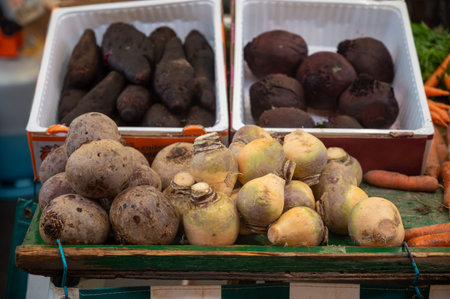 Farmers outdoor market with seasonal winter organic root vegetables, pumpkins, cool, carrotsの写真素材