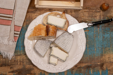 Cheese collection, French fresh soft goat cheese with black mold from Perigord served with baguetteの写真素材