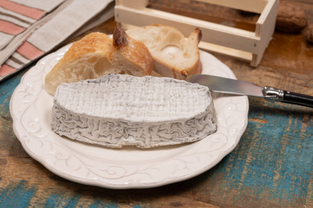 Cheese collection, French fresh soft goat cheese with black mold from Perigord served with baguetteの写真素材