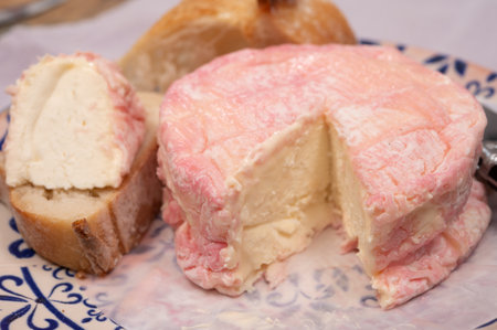 Cheese collection, French fresh white with rose rind soft goat cheese soaked in rose champagne wineの写真素材