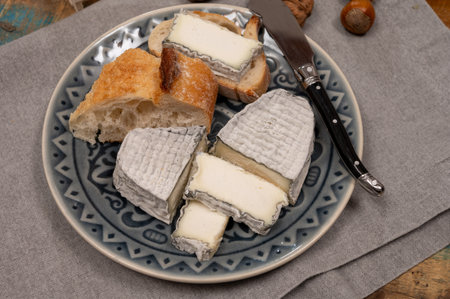 Cheese collection, French fresh soft goat cheese with black mold from Perigord served with baguetteの写真素材