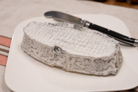 Cheese collection, French fresh soft goat cheese with black mold from Perigord served with baguetteの写真素材