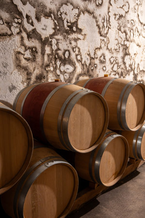 French oak wooden barrels for aging red wine in underground cellar, Saint-Emilion wine making region picking, cru class Merlot or Cabernet Sauvignon red wine grapes, France, great wines of Bordeauxの写真素材