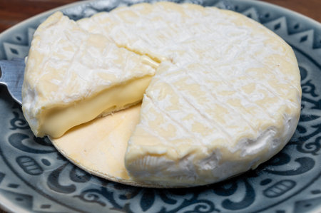French soft Cremeux de Normandie cheese, soft creamy cheese with white mold close up