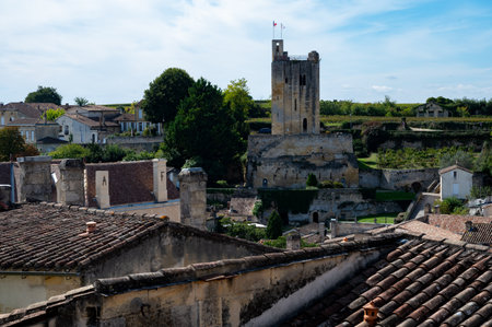 Views of old houses and narrow hilly streets of medieval town St. Emilion, production of red Bordeaux wine on cru class vineyards in Saint-Emilion wine making region, France, Bordeauxの写真素材