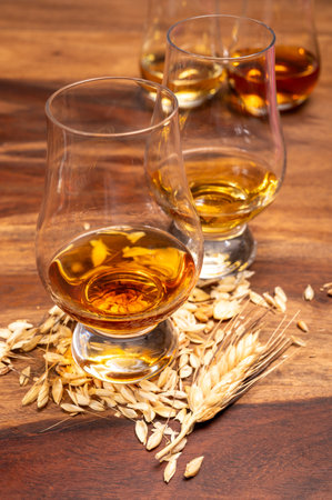 Tasting of different Scotch whiskeys strong alcoholic drinks, drum of whiskey and barley grains on table close upの写真素材
