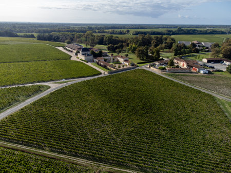 Aerial view on left bank of Gironde Estuary with green vineyards with red Cabernet Sauvignon grape variety of famous Haut-Medoc red wine making region in Margaux, Bordeaux, Franceの写真素材