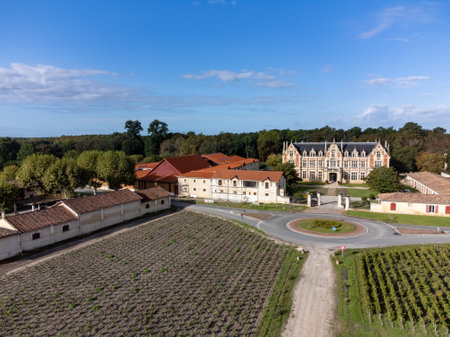 Aerial view, left bank Gironde Estuary, green vineyards, red Cabernet Sauvignon grapes variety of Haut-Medoc red wine making region, Bordeaux, Franceの写真素材