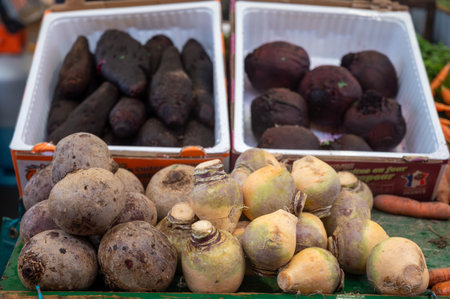 Farmers outdoor market with seasonal winter organic root vegetables, pumpkins, cool, carrotsの写真素材