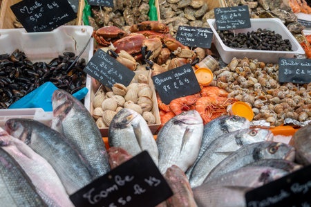 Assortment of fresh daily catch of prawns, seashells, molluscs on ice on fish market in France, English translation: differens French names of seafoodの写真素材