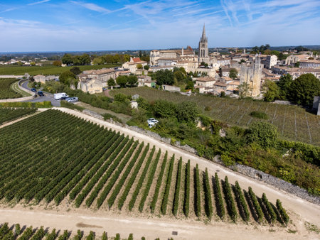 Aerial views of green vineyards around of medieval town St. Emilion, production of red Bordeaux wine...