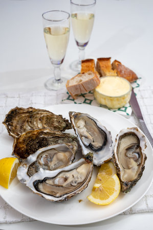 Fresh big alive French, Dutch, Pacific or Japanese oysters molluscs, size number 1, served with fresh lemon, raw sea foodの写真素材