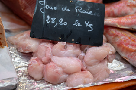 Assortment of fresh daily catch of prawns, seashells, molluscs on ice on fish market in France,...