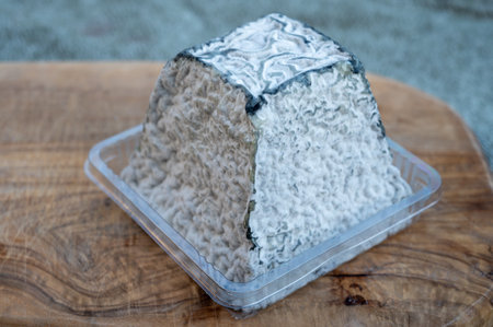 Cheese collection, French Pouligny pyramid cheese made from goat milk in region Pouligny-Saint-Pierre in France close up with black moldの写真素材