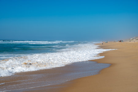 View on Plage de Horizon, Plage de l'ocean near Le Phare du Cap Ferret and Duna du Pilat, Cap Ferret peninsula, France, southwest of Bordeaux, France's Atlantic coastline in sunny dayの写真素材