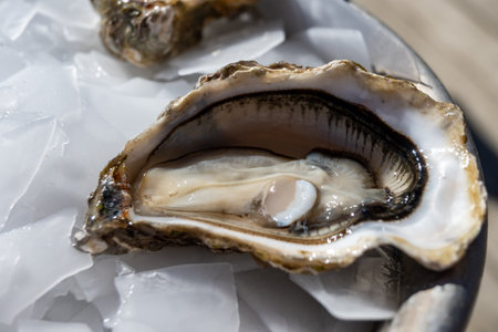 Eating of fresh live oysters at farm cafe in oyster-farming village, Arcachon bay, Cap Ferret peninsula, Bordeaux, France, close upの写真素材