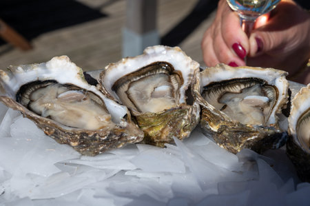Eating of fresh live oysters with citron and white wine at farm cafe in oyster-farming village, with view on boats and water of Arcachon bay, Cap Ferret peninsula, Bordeaux, France in sunny dayの写真素材