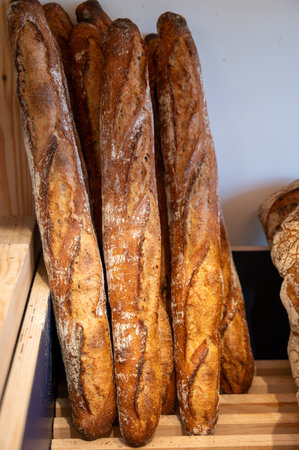 French artisan bakery in Bordeaux, rye and wheat bread and baguettes, France, french foodの写真素材