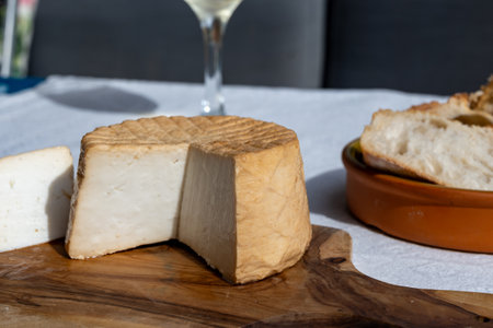 Cheese collection, piece of round fresh smoked Spanish goat cheese close upの写真素材