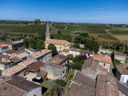 Aerial view on Sauternes village and vineyards, making of sweet dessert Sauternes wines from Semillon grapes affected by Botrytis cinerea noble rot, Bordeaux, Franceの写真素材