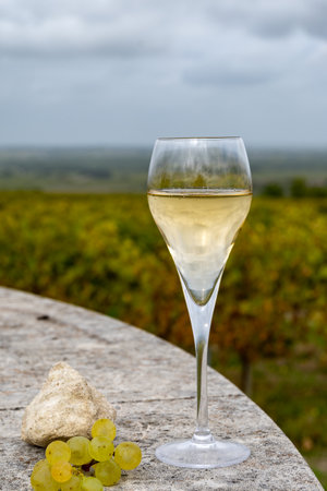 Tasting of grand cru sparkling white wine with bubbles champagne on chardonnay vineyards in Avize, Ay grand cru wine producer small village, Cote des Blancs, Champagne, Franceの写真素材